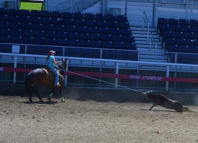 Big Valley Quarter Horses